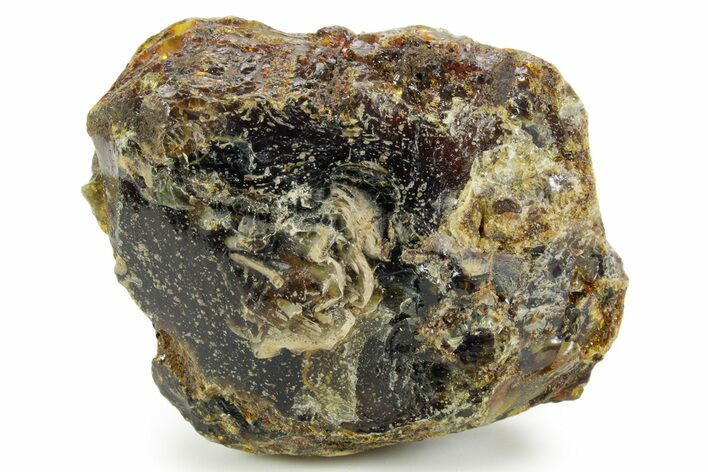 Rough Blue Indonesian Amber - Indonesia #359644